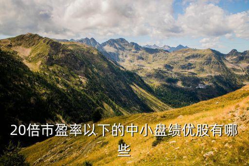 20倍市盈率以下的中小盤(pán)績(jī)優(yōu)股有哪些