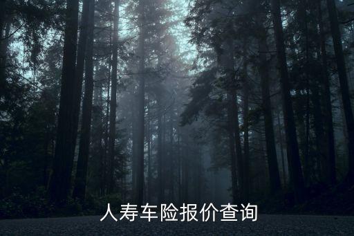  人壽車(chē)險(xiǎn)報(bào)價(jià)查詢(xún)