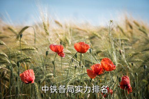中鐵各局實(shí)力排名