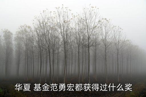  華夏 基金范勇宏都獲得過什么獎(jiǎng)