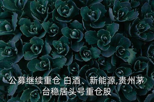 公募繼續(xù)重倉(cāng) 白酒、新能源,貴州茅臺(tái)穩(wěn)居頭號(hào)重倉(cāng)股