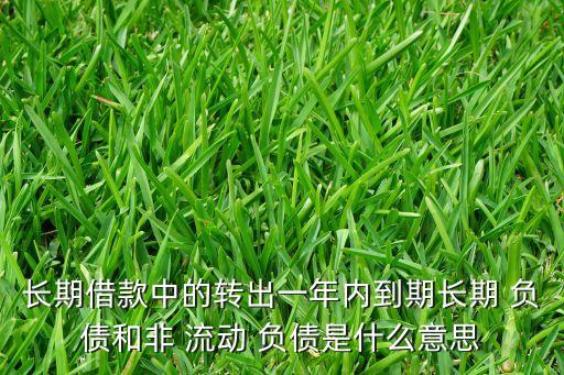 長期借款中的轉(zhuǎn)出一年內(nèi)到期長期 負(fù)債和非 流動 負(fù)債是什么意思