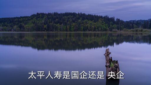 中國(guó)太平央企怎么樣,2、太平人壽保險(xiǎn)是央企嗎?怎么樣?