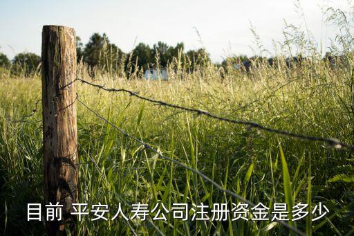 目前 平安人壽公司注冊資金是多少