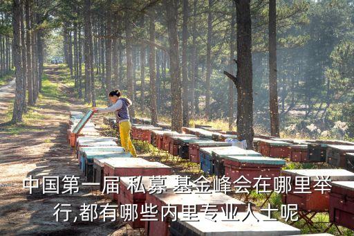 中國第一屆 私募 基金峰會(huì)在哪里舉行,都有哪些內(nèi)里專業(yè)人士呢