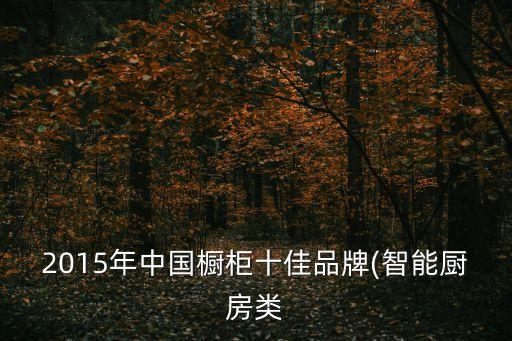 2015年中國櫥柜十佳品牌(智能廚房類