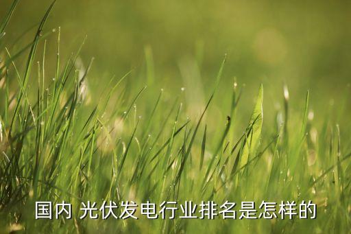 國(guó)內(nèi) 光伏發(fā)電行業(yè)排名是怎樣的