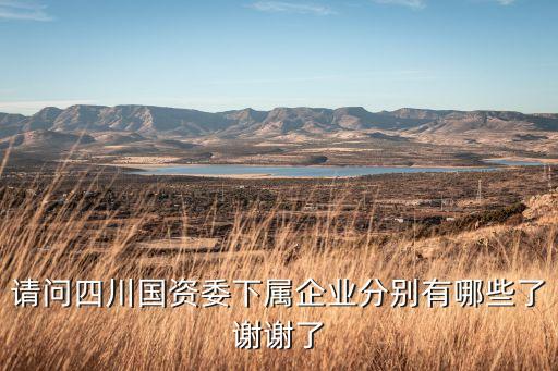 請(qǐng)問四川國資委下屬企業(yè)分別有哪些了謝謝了