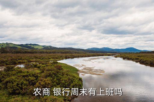廣州鎮(zhèn)龍農(nóng)商銀行營業(yè)時間,廣州農(nóng)商銀行龍歸支行行號