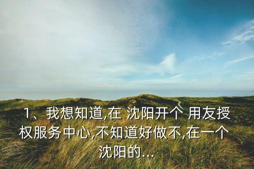 1、我想知道,在 沈陽開個 用友授權服務中心,不知道好做不,在一個 沈陽的...