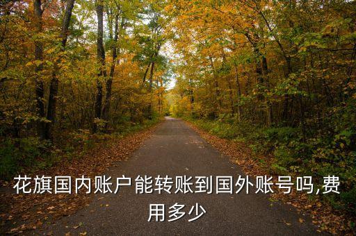 花旗國(guó)內(nèi)賬戶能轉(zhuǎn)賬到國(guó)外賬號(hào)嗎,費(fèi)用多少