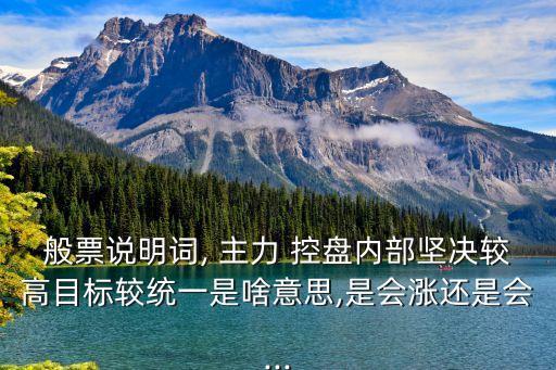 般票說明詞, 主力 控盤內(nèi)部堅決較高目標較統(tǒng)一是啥意思,是會漲還是會...