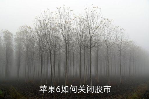 蘋(píng)果4s股票怎么關(guān)
