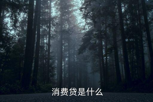  消費貸是什么