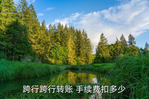 跨行跨行轉(zhuǎn)賬 手續(xù)費扣多少