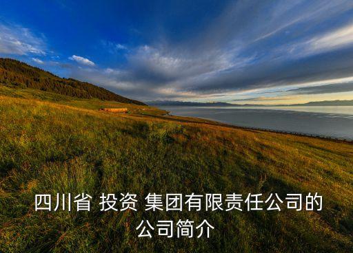 四川省礦業(yè)投資集團