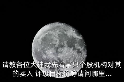請(qǐng)教各位大神我先看某只個(gè)股機(jī)構(gòu)對(duì)其的買入 評(píng)級(jí)目標(biāo)價(jià)等請(qǐng)問哪里...