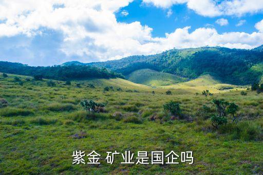  紫金 礦業(yè)是國(guó)企嗎