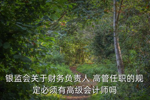 銀監(jiān)會關(guān)于財務(wù)負(fù)責(zé)人 高管任職的規(guī)定必須有高級會計師嗎