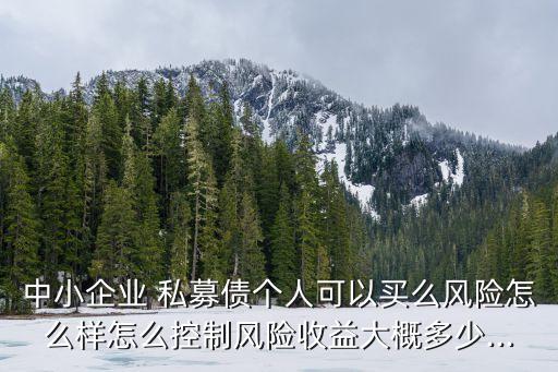 私募債投資者登記個人,購買私募產(chǎn)品的個人投資者應(yīng)具有