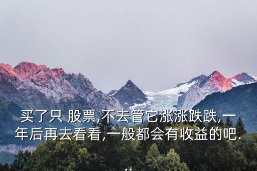 買了只 股票,不去管它漲漲跌跌,一年后再去看看,一般都會(huì)有收益的吧...
