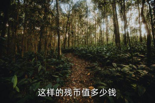 這樣的殘幣值多少錢(qián)