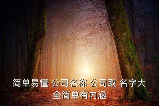 簡(jiǎn)單易懂 公司名稱(chēng) 公司取 名字大全簡(jiǎn)單有內(nèi)涵