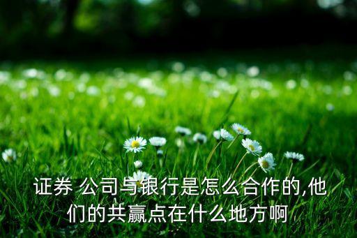  證券 公司與銀行是怎么合作的,他們的共贏點(diǎn)在什么地方啊