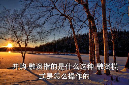 09年武鋼集團(tuán)海外并購融資方式