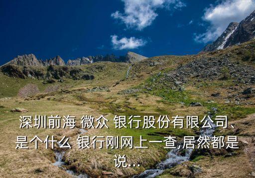 深圳前海 微眾 銀行股份有限公司、是個什么 銀行剛網(wǎng)上一查,居然都是說...