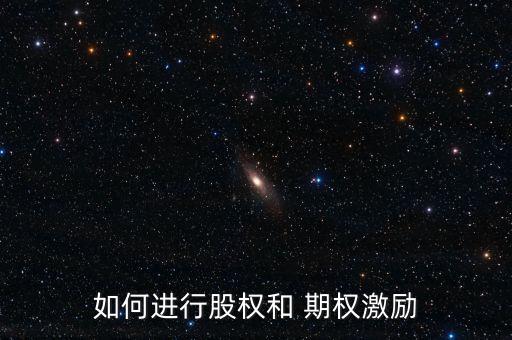 如何進(jìn)行股權(quán)和 期權(quán)激勵