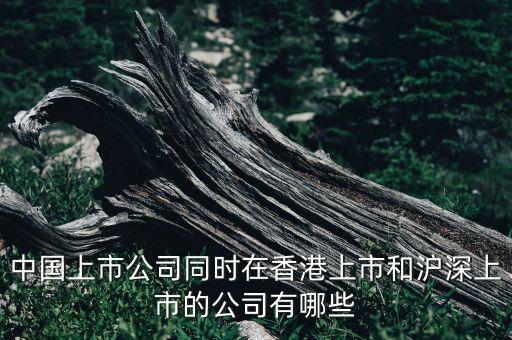 中國(guó)上市公司同時(shí)在香港上市和滬深上市的公司有哪些