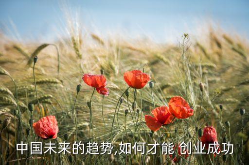 中國(guó)怎么創(chuàng)業(yè),自己0基礎(chǔ)怎么創(chuàng)業(yè)