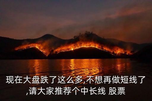 現(xiàn)在大盤跌了這么多,不想再做短線了,請(qǐng)大家推薦個(gè)中長線 股票