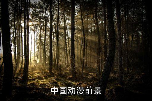 中國(guó)動(dòng)漫前景