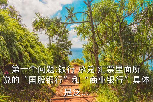 第一個(gè)問(wèn)題:銀行 承兌 匯票里面所說(shuō)的“國(guó)股銀行”和“商業(yè)銀行”具體是泛...