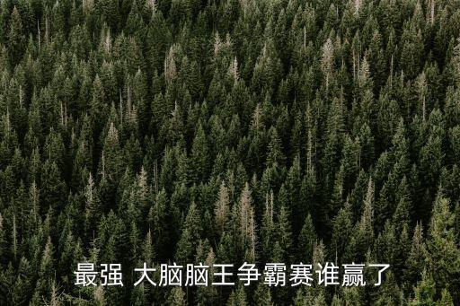  最強(qiáng) 大腦腦王爭霸賽誰贏了