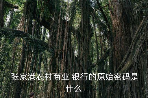 張家港農(nóng)商行網(wǎng)上銀行,農(nóng)商行網(wǎng)上銀行怎么設置轉(zhuǎn)賬額度