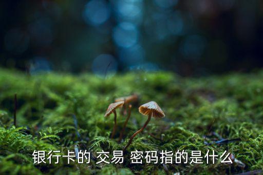 銀行卡查詢(xún)密碼和交易密碼
