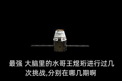  最強(qiáng) 大腦里的水哥王煜珩進(jìn)行過幾次挑戰(zhàn),分別在哪幾期啊