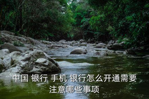 中國 銀行 手機 銀行怎么開通需要注意哪些事項