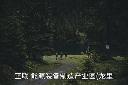 嘉興市森源能源有限公司,森源恒碩生物質能源有限公司
