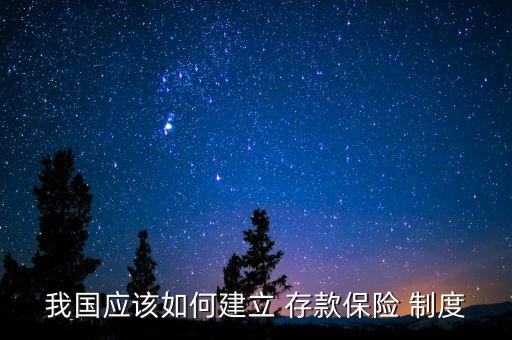 我國(guó)應(yīng)該如何建立 存款保險(xiǎn) 制度