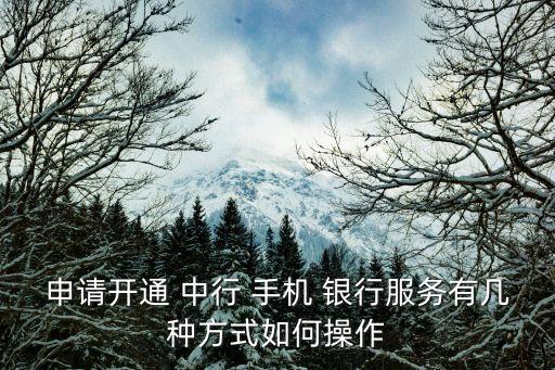 申請開通 中行 手機 銀行服務(wù)有幾種方式如何操作