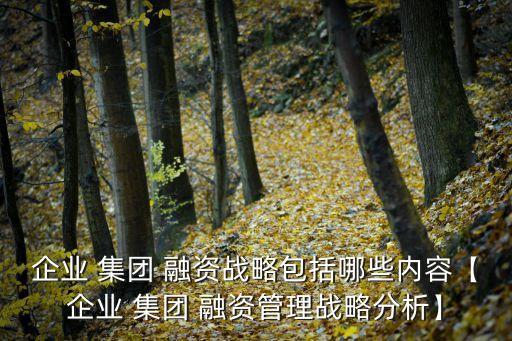 企業(yè) 集團 融資戰(zhàn)略包括哪些內(nèi)容【企業(yè) 集團 融資管理戰(zhàn)略分析】