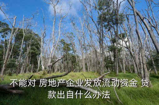 銀行不給房地產(chǎn)貸款,銀行對房地產(chǎn)貸款最新政策