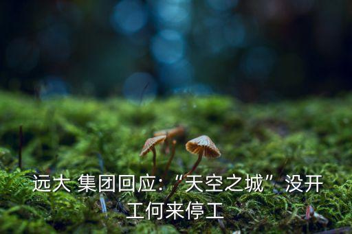  遠(yuǎn)大 集團(tuán)回應(yīng):“天空之城”沒(méi)開(kāi)工何來(lái)停工