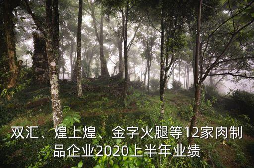 雙匯、煌上煌、金字火腿等12家肉制品企業(yè)2020上半年業(yè)績(jī)