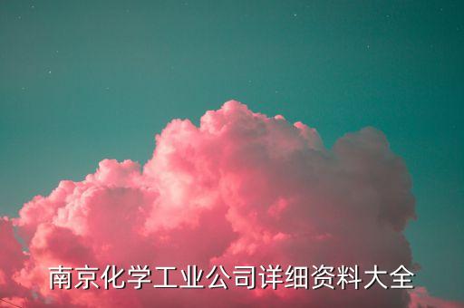 南京化學(xué)工業(yè)公司詳細資料大全