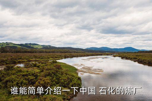 誰(shuí)能簡(jiǎn)單介紹一下中國(guó) 石化的煉廠